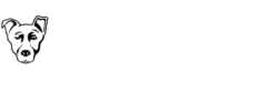 Alpha Media Dayton